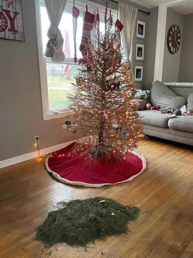 Oh Christmas Tree, Oh Christmas Tree!