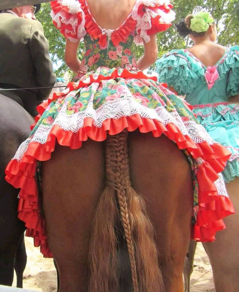 Fancy Dress Centaur