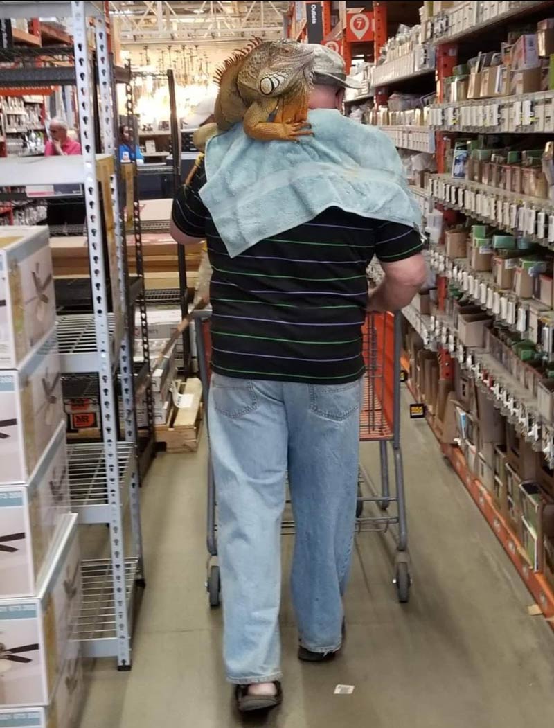 Just a man and his iguana doing a little Christmas shopping at Home Depot