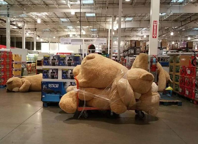 Came into work to find the giant teddy bears partied too hard last night