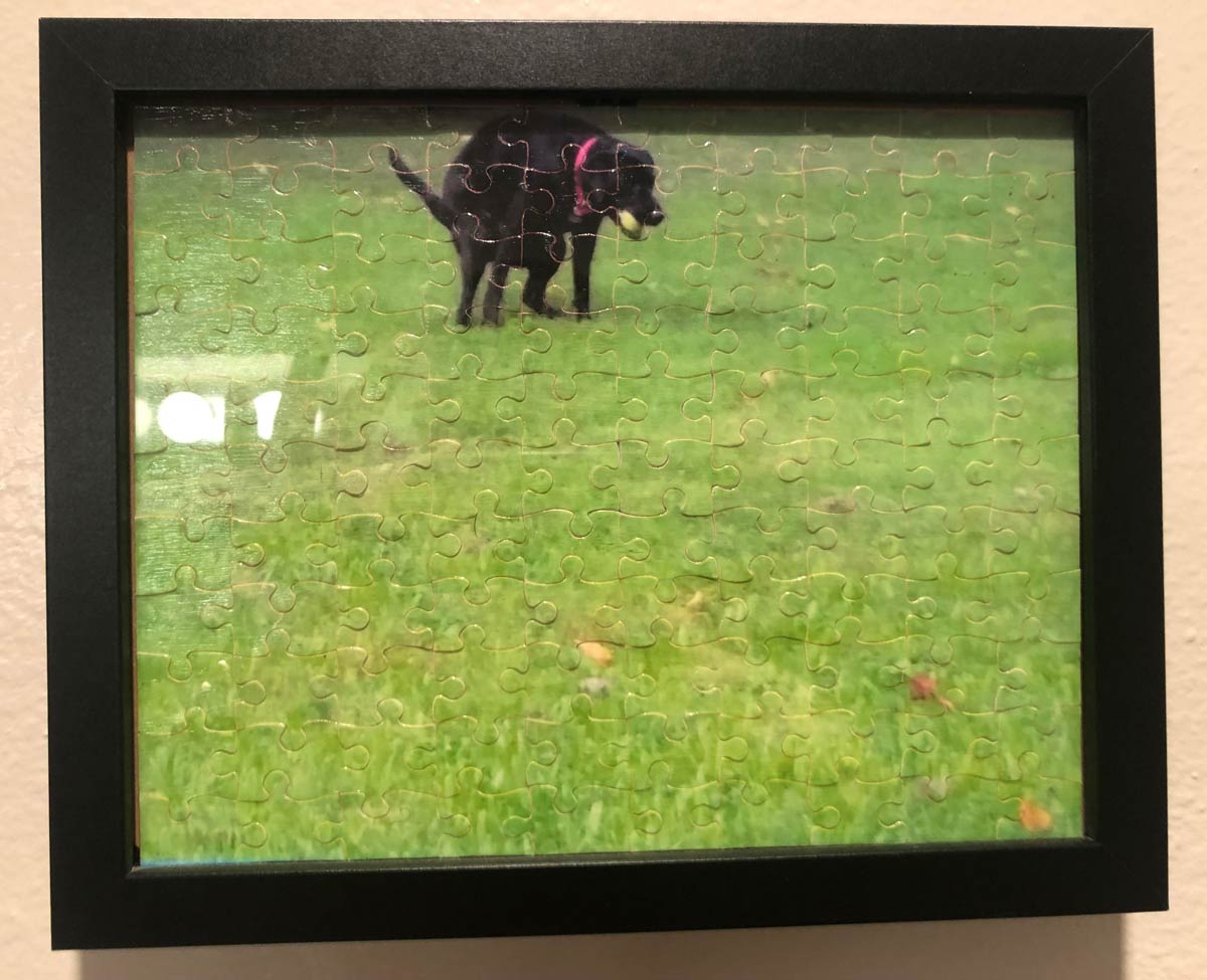 I turned a picture of my Labrador pooping into a puzzle, gave it to my dad for Christmas as a white elephant gift. He put it together, framed it, and gave it back to me. That’s what Christmas is all about