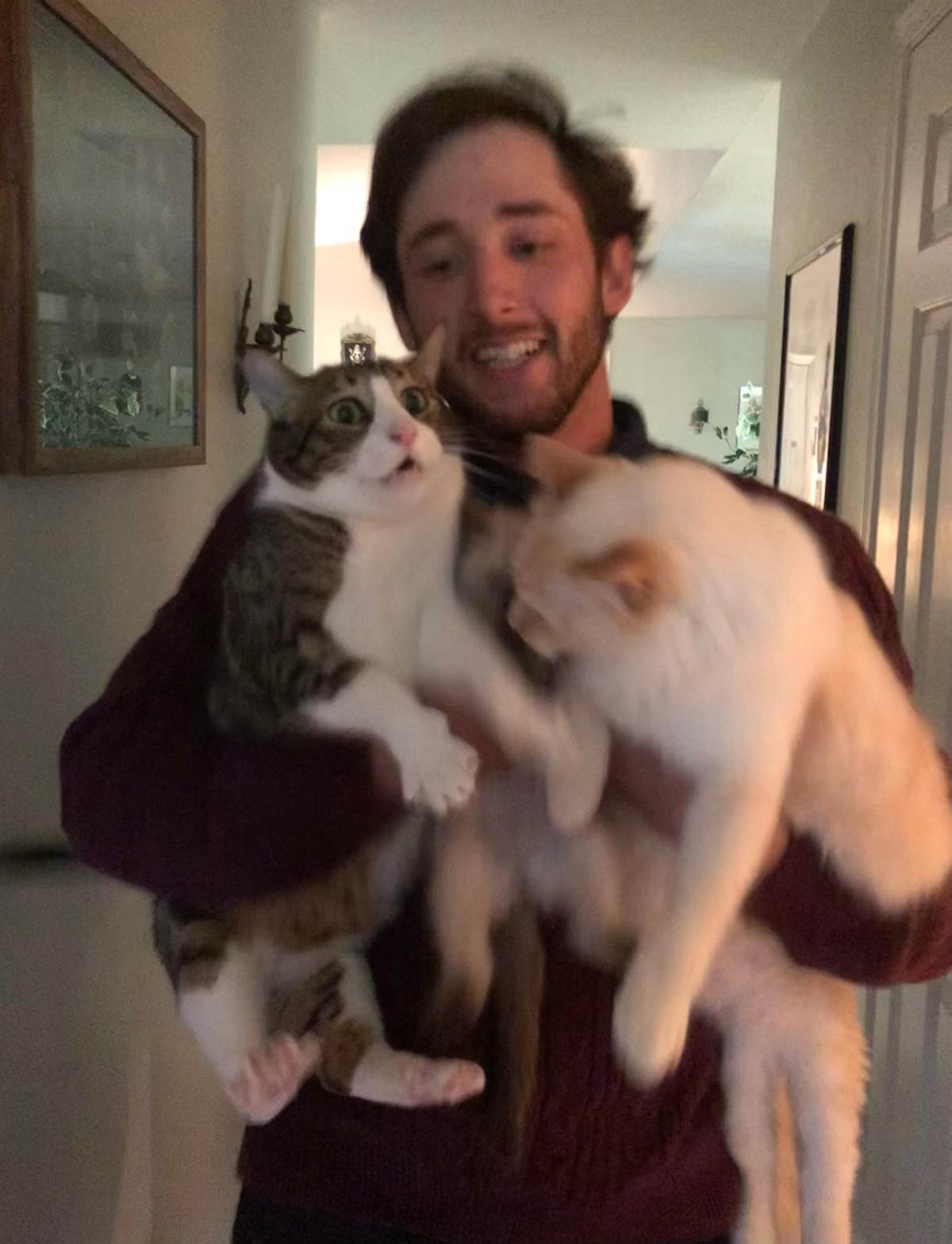 I attempted to take a pic with all 3 of my cats