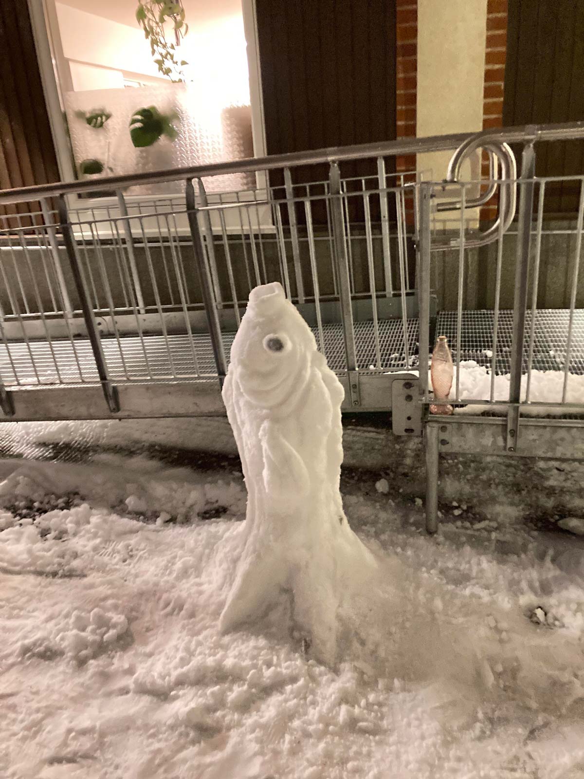 I made a snow-fish