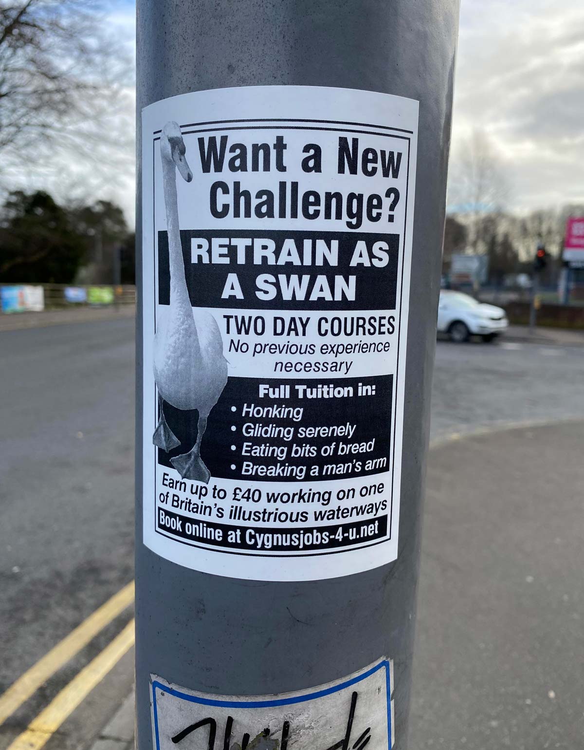 Want a new challenge?