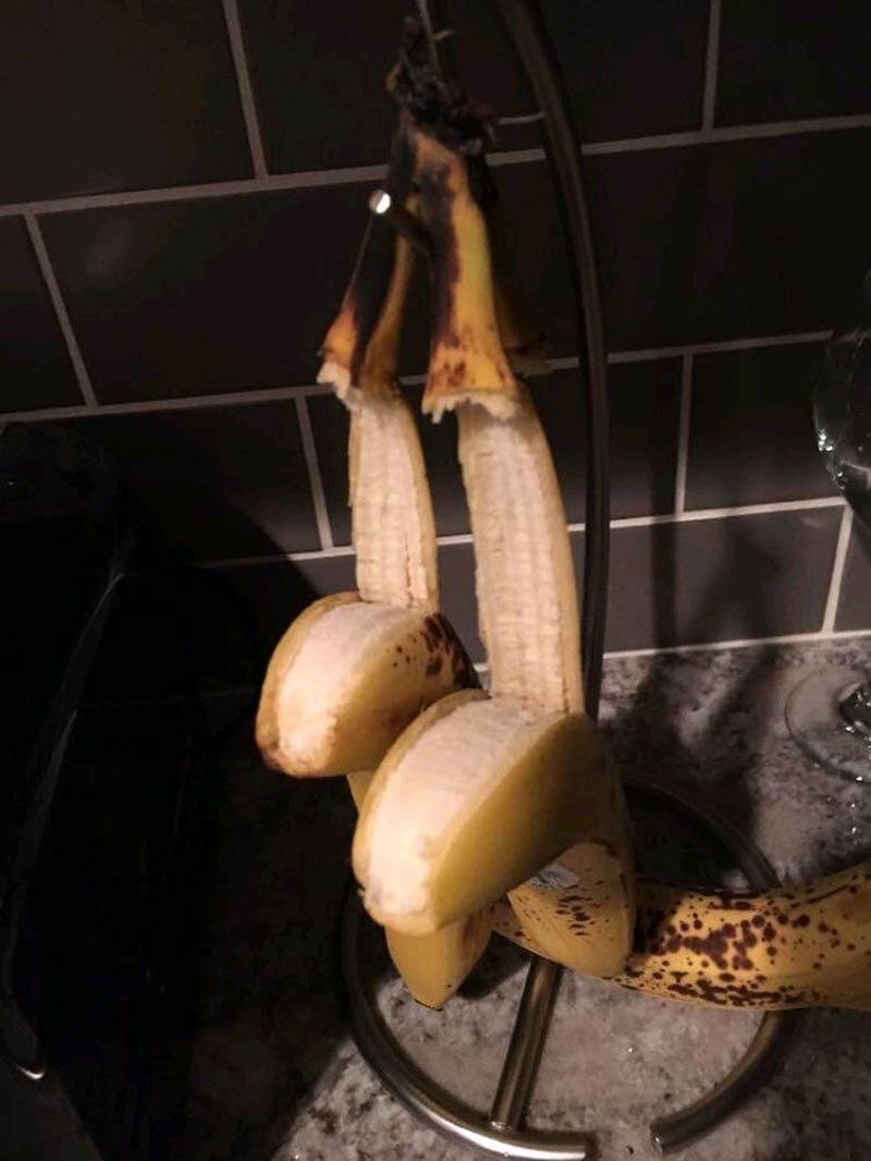 The bananas hanged themselves