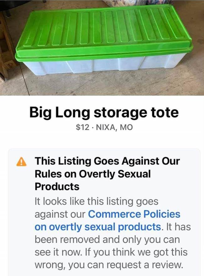 Stupid sexy storage tote