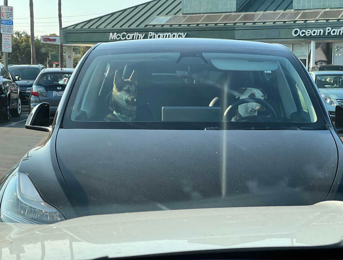 Two suspicious characters were parked at Gelson's yesterday. Possibly a getaway car waiting for their accomplice to flea the scene