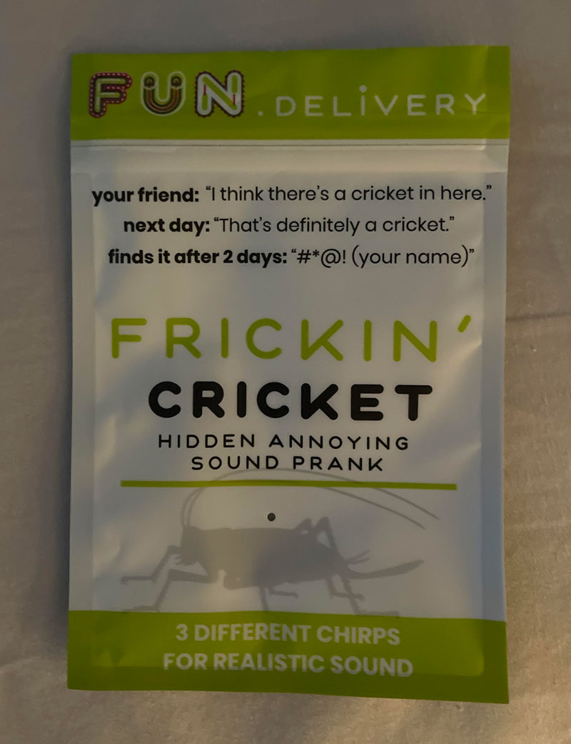 Been looking for a cricket for two days.. Wife just showed me this