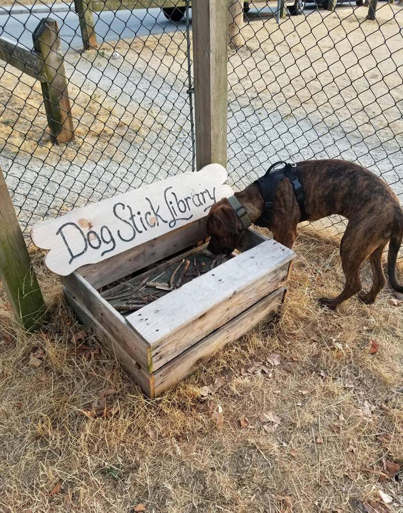 Dog stick library at the local park