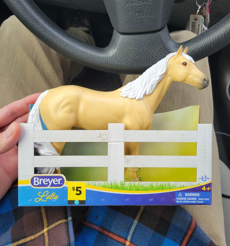 Went out to run errands, asked my wife if she wanted me to grab her anything. As a joke, she said a horse. Everyone, meet Latte