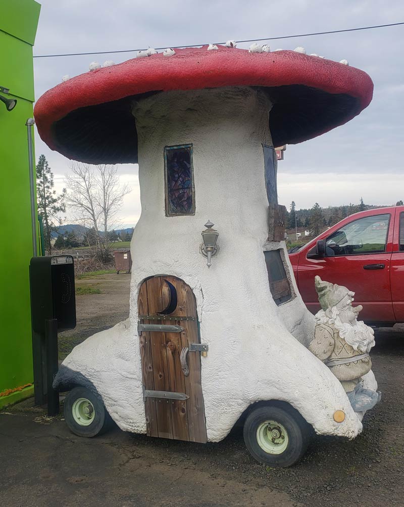This mushroom car I found