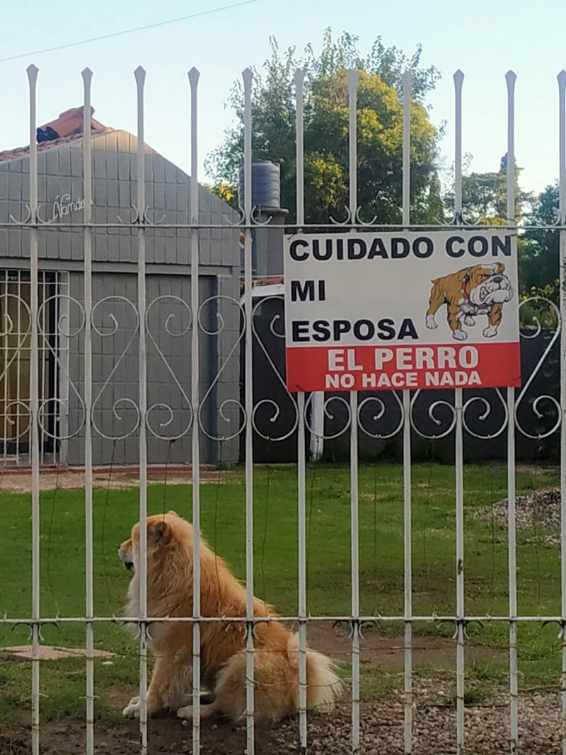 Seen in Argentina, the sign translates to: Beware of my wife. The dog doesn't bite