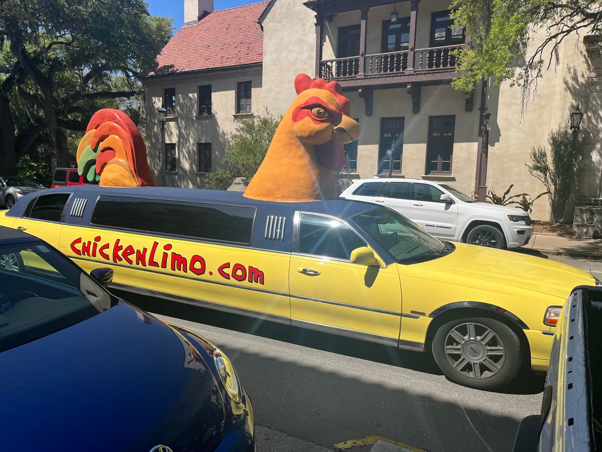 The Chicken Limo in the wild