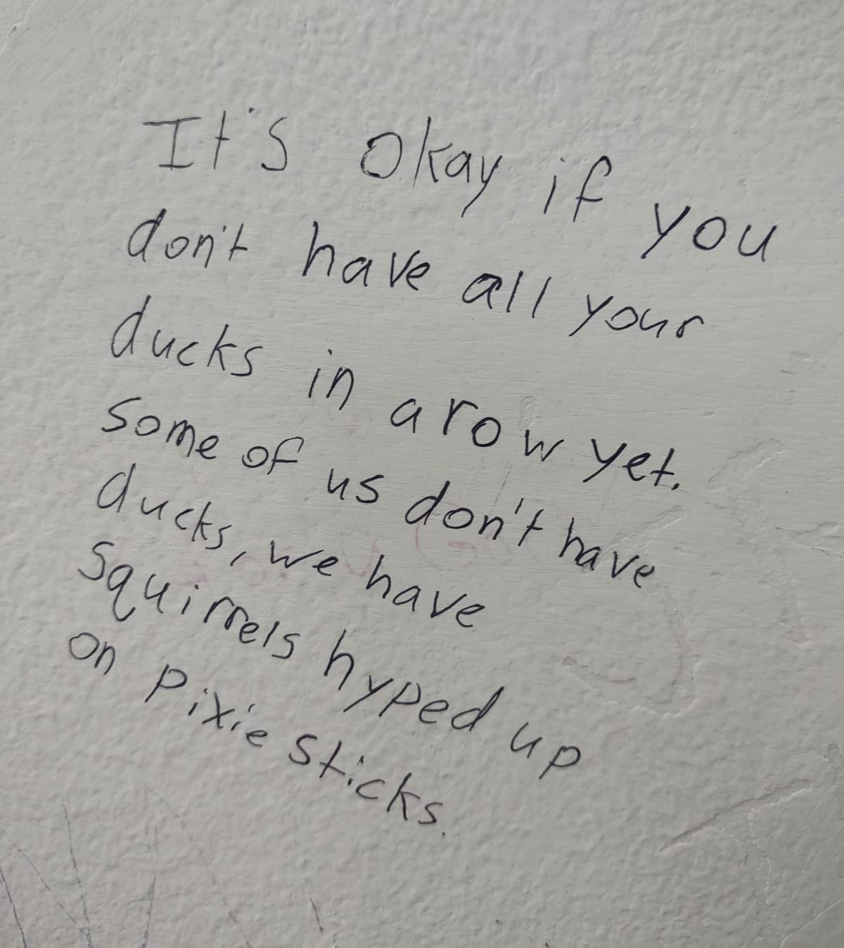 Seen on the bathroom wall