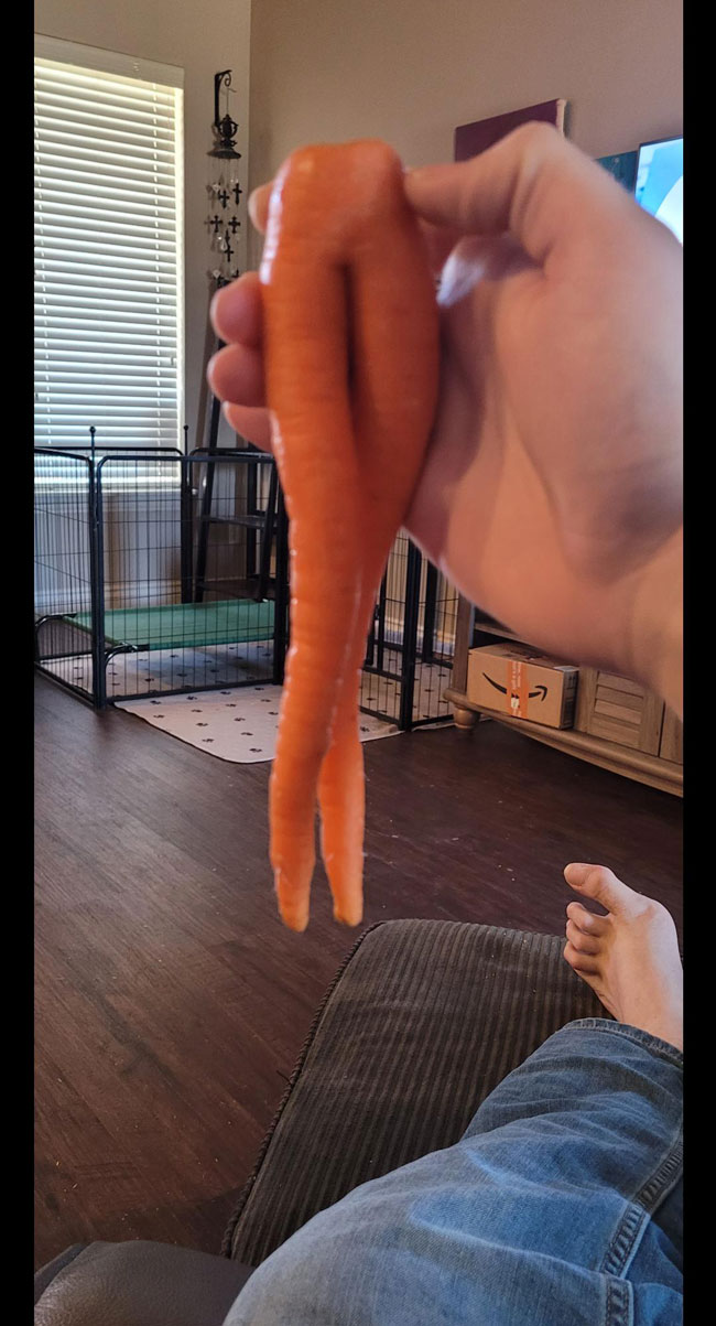 This carrot is too sexy for its own good