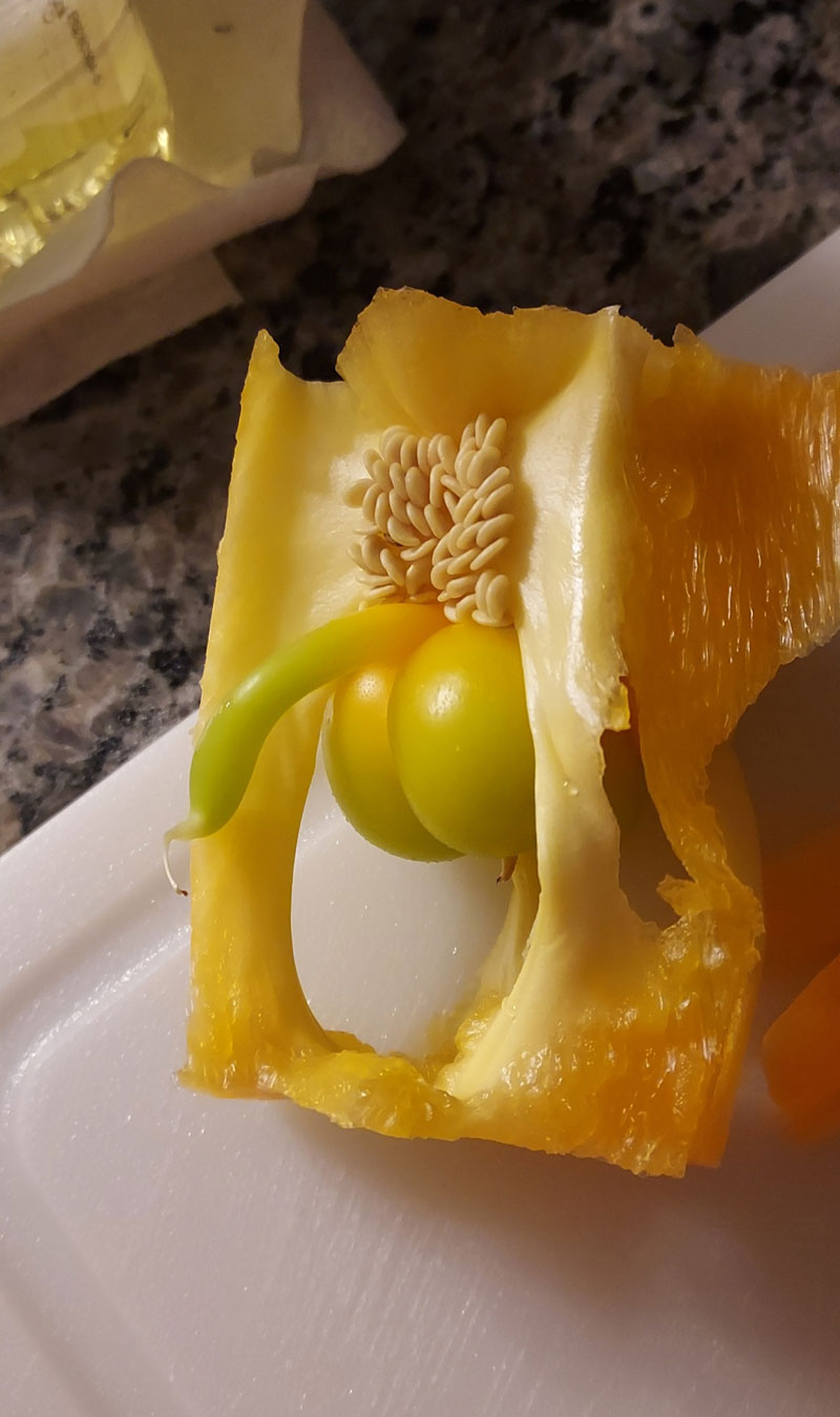 This pepper