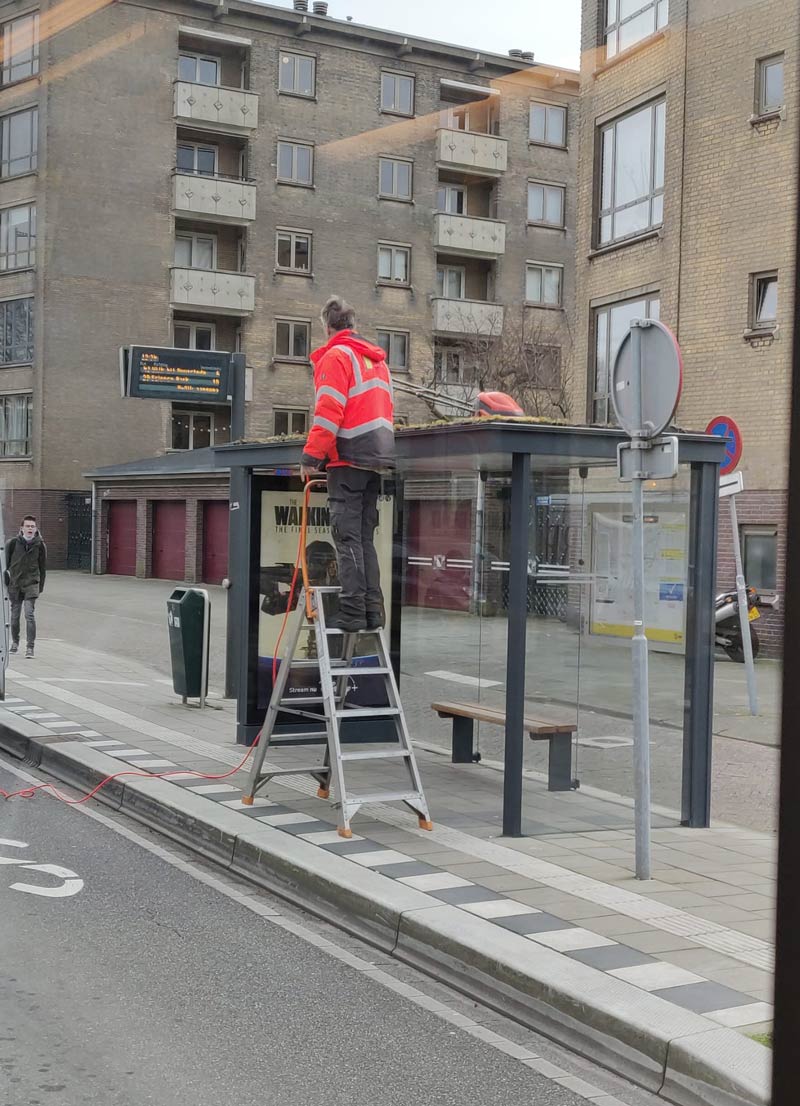 This guy mowing the bus stop roof