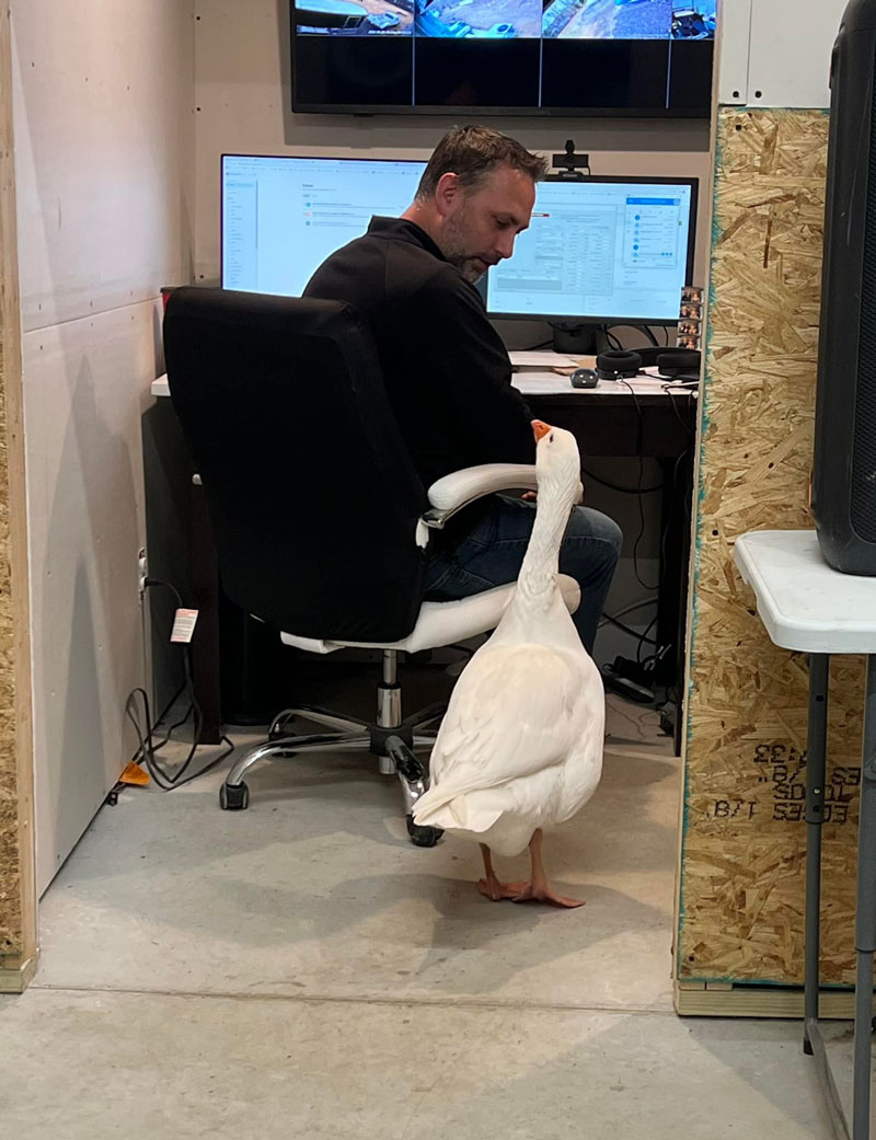 Apparently was Bring Your Goose To Work Day at my friend's office