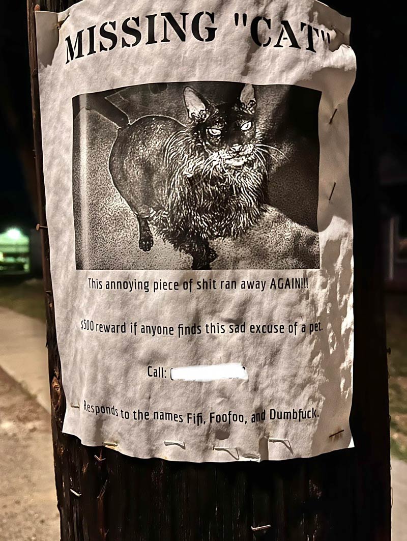 This colorfully worded missing cat poster