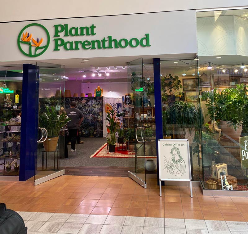 This plant nursery