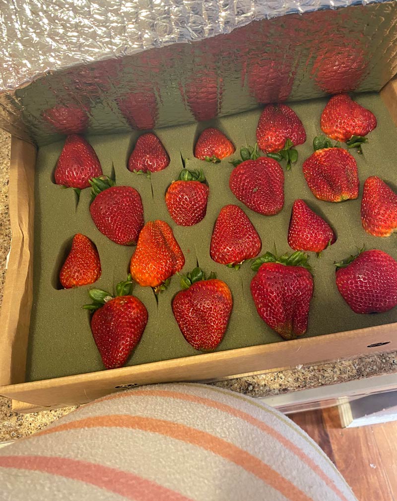 My grandma sends me fruit in the mail because I’m pregnant. Today it’s strawberries!
