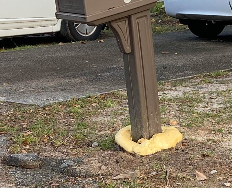 My neighbor installed his new mailbox today