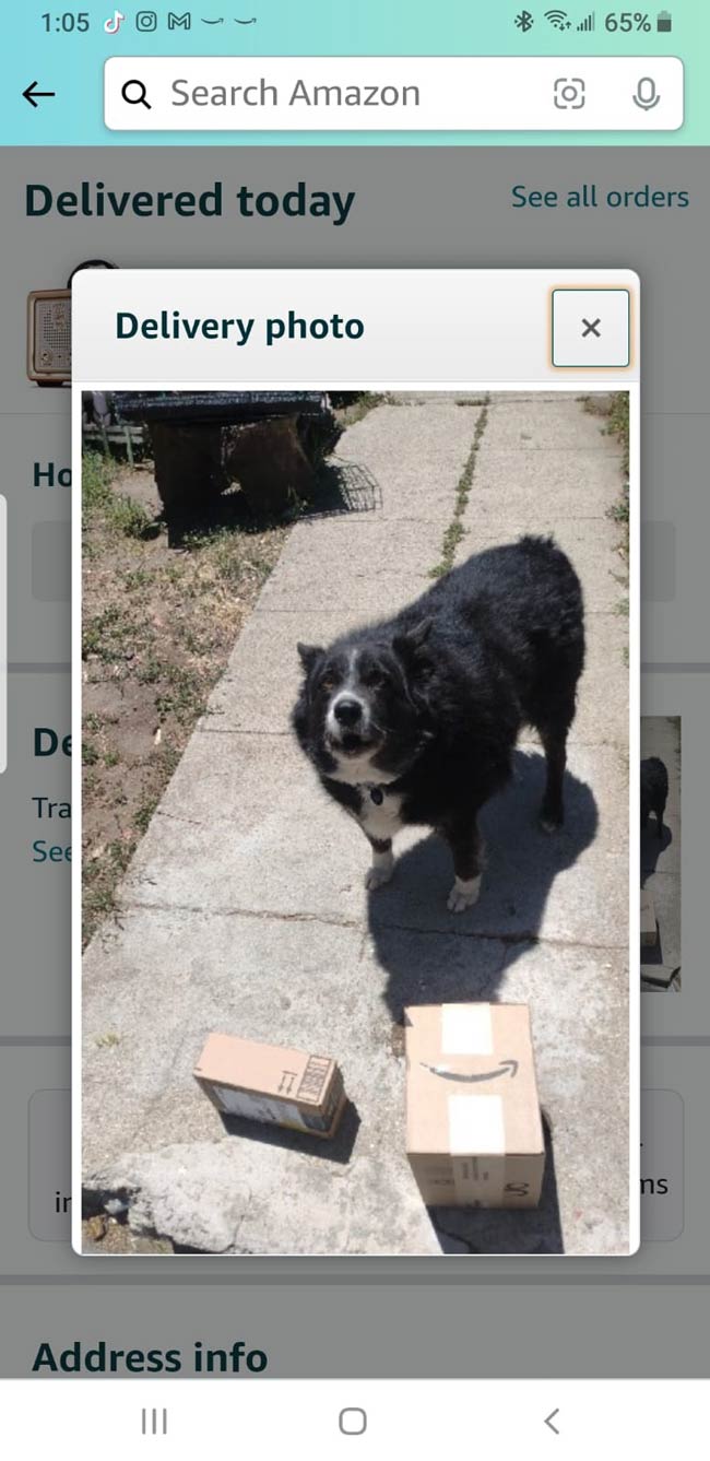 This is the picture Amazon sent my BIL to say the packages were "Delivered to a family member directly"
