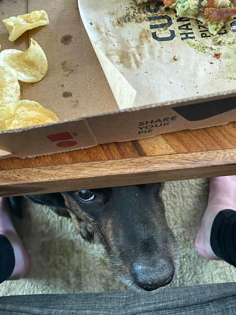 Every breath you take; every move you make; every bite you take; I’ll be watching you