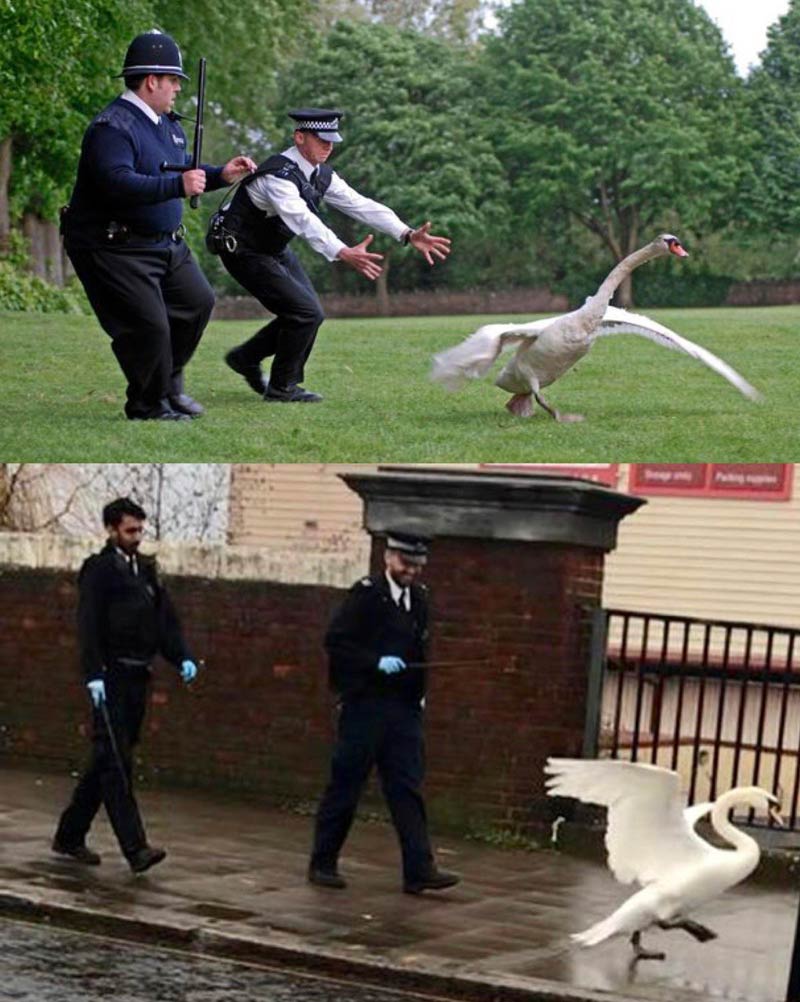 Wondered if the sequel to Hot Fuzz was being filmed in my town..