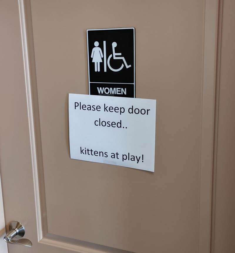 The company I work for found kittens in the yard behind the shop. The folks in the office have been taking care of them and this the sign I found today