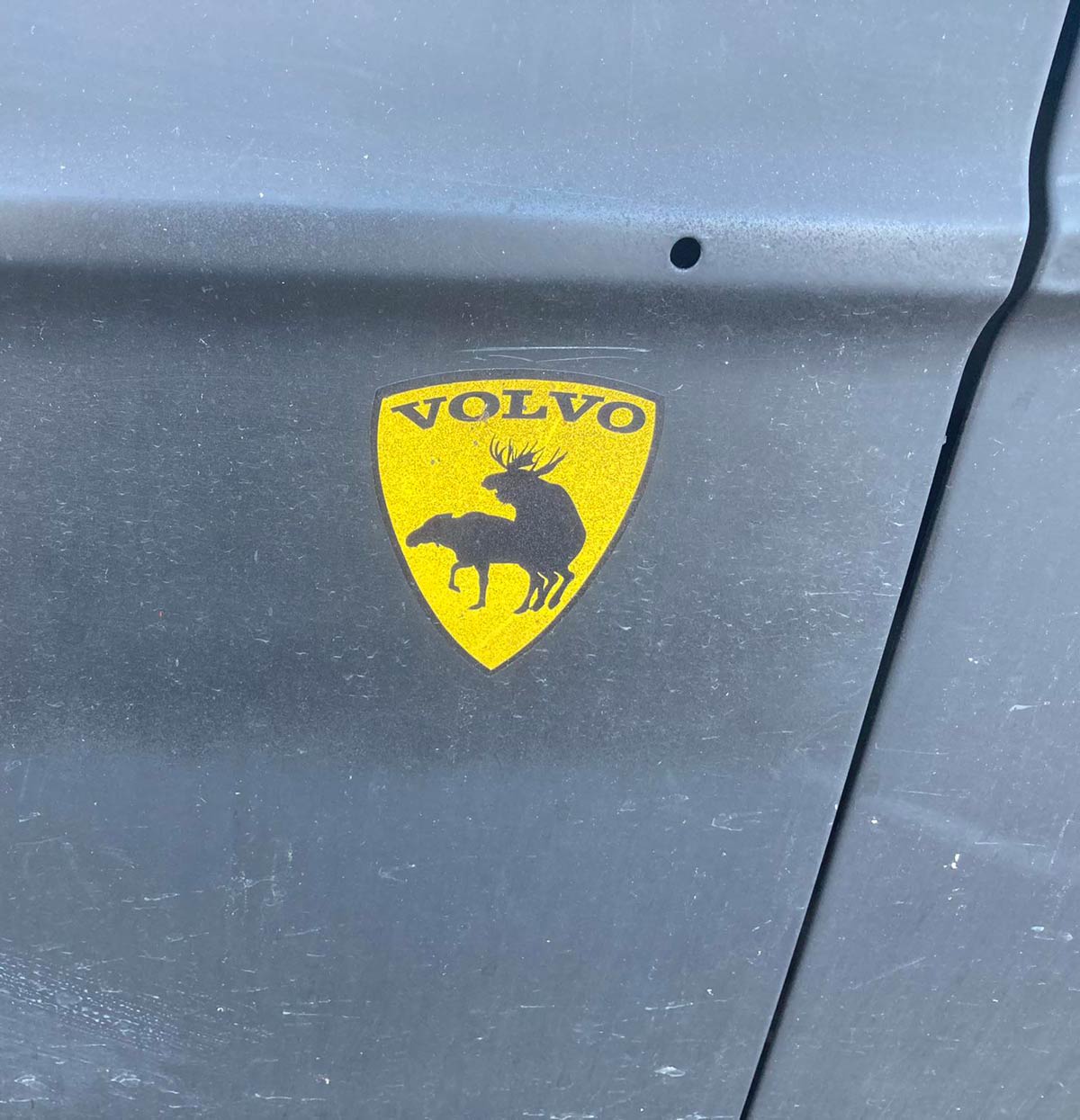 Volvo found in the wild