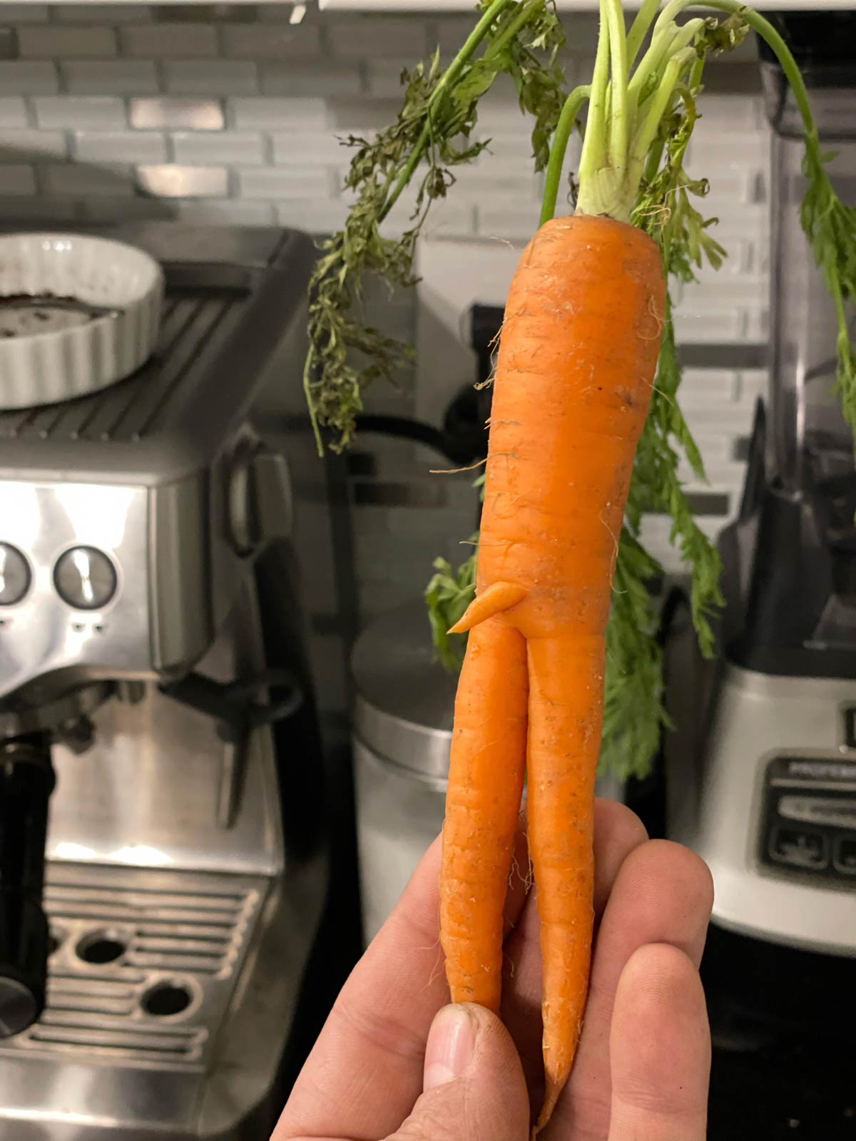 It might be small but I don’t carrot all