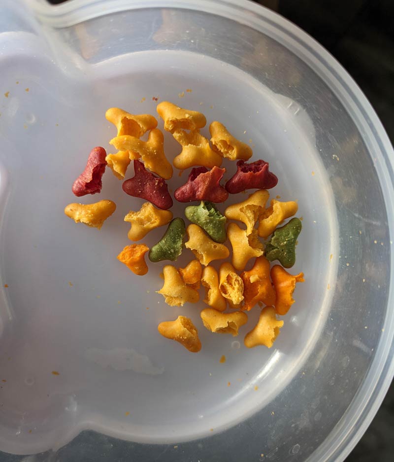 My son bit all the heads off his goldfish and left just the tails