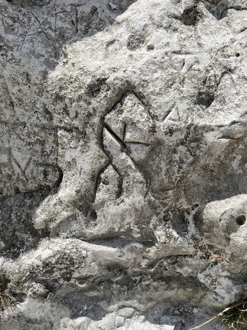 I visited the White Cliffs of Dover and found this Ancient Rune