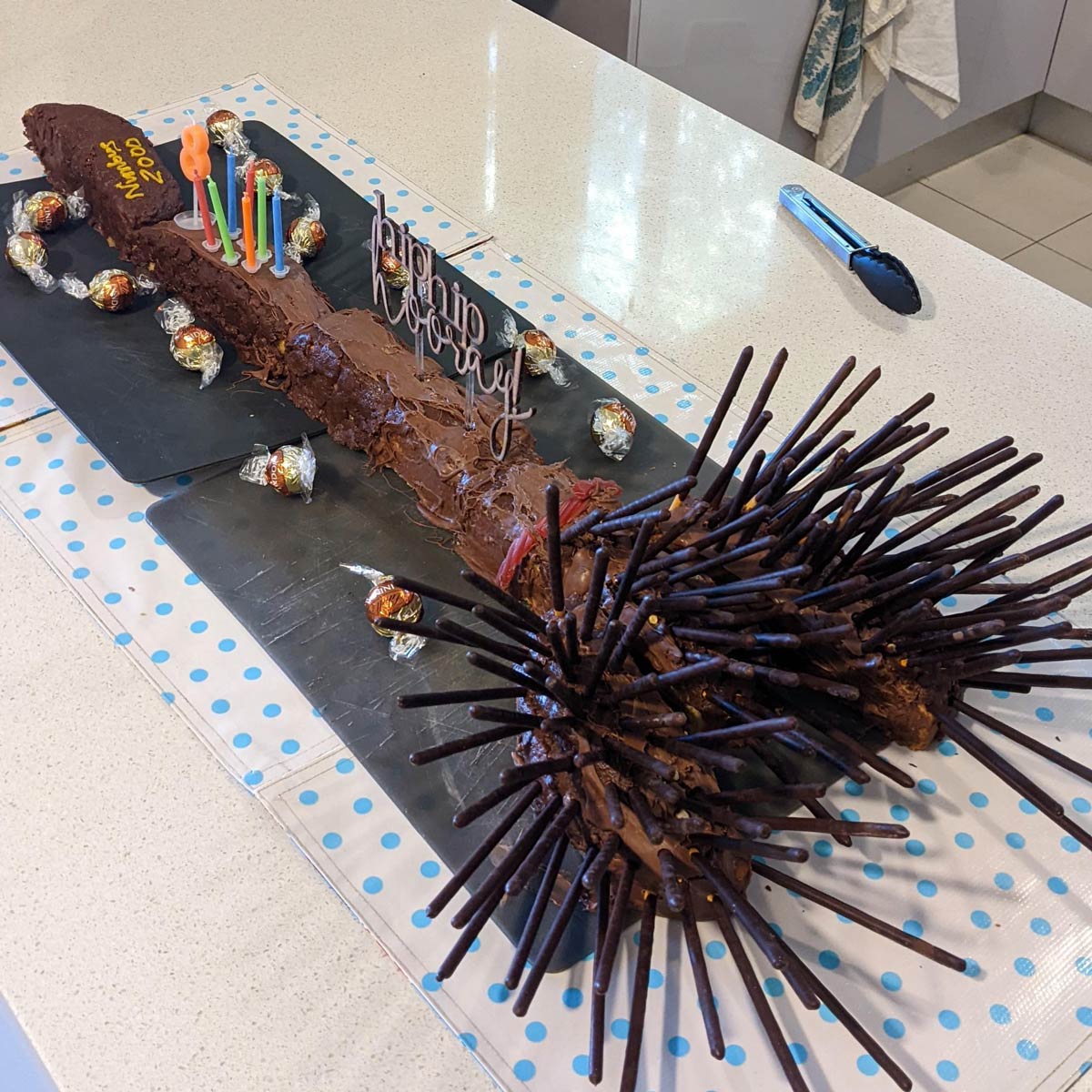 My loving wife spent hours on this Harry Potter broom cake for our kid