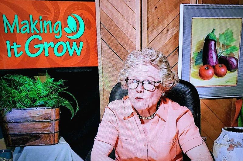 Some set designer scored a win...from my local gardening tv program