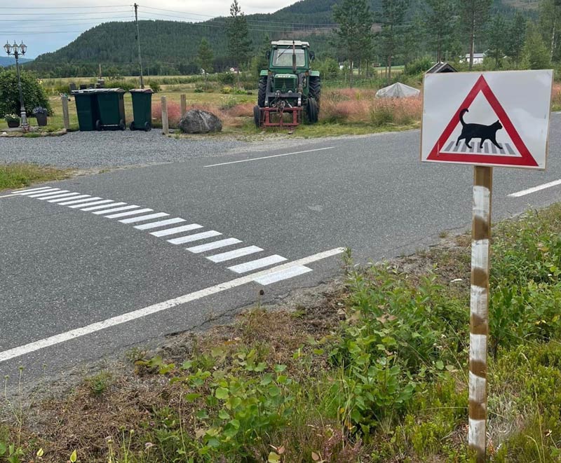 Cat crosswalk in Norway