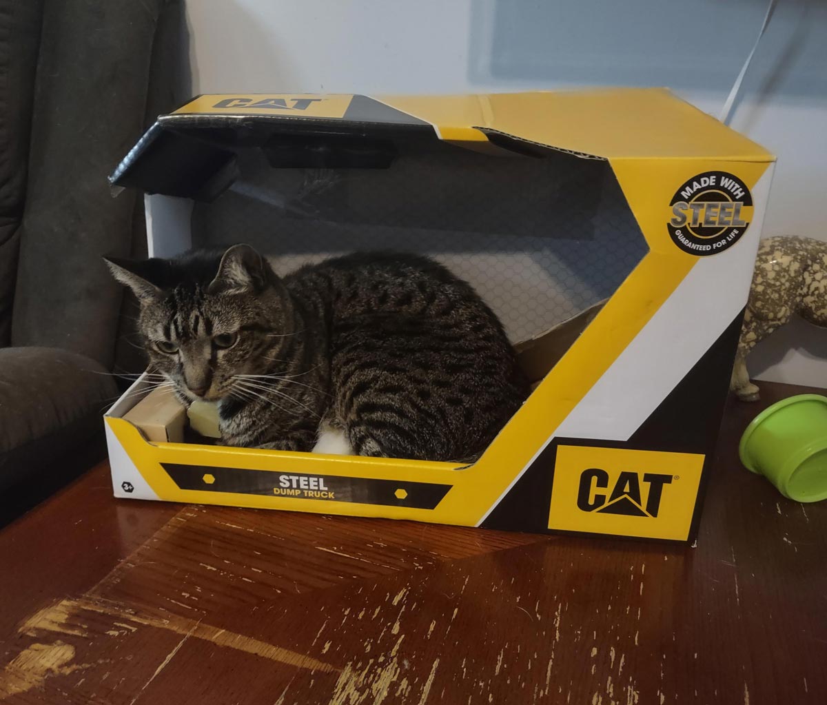 Perfect box for my CAT