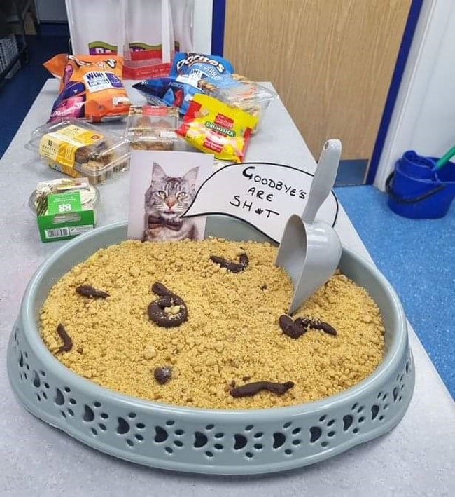 A vet baked this cake for her colleagues as a leaving gift