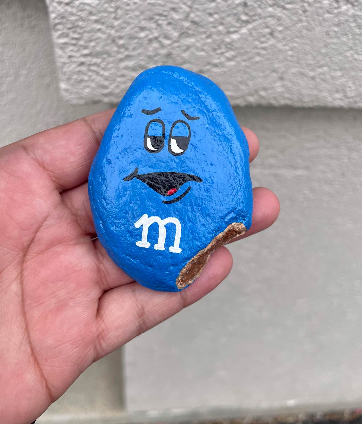 This rock I found that’s painted like an M&M