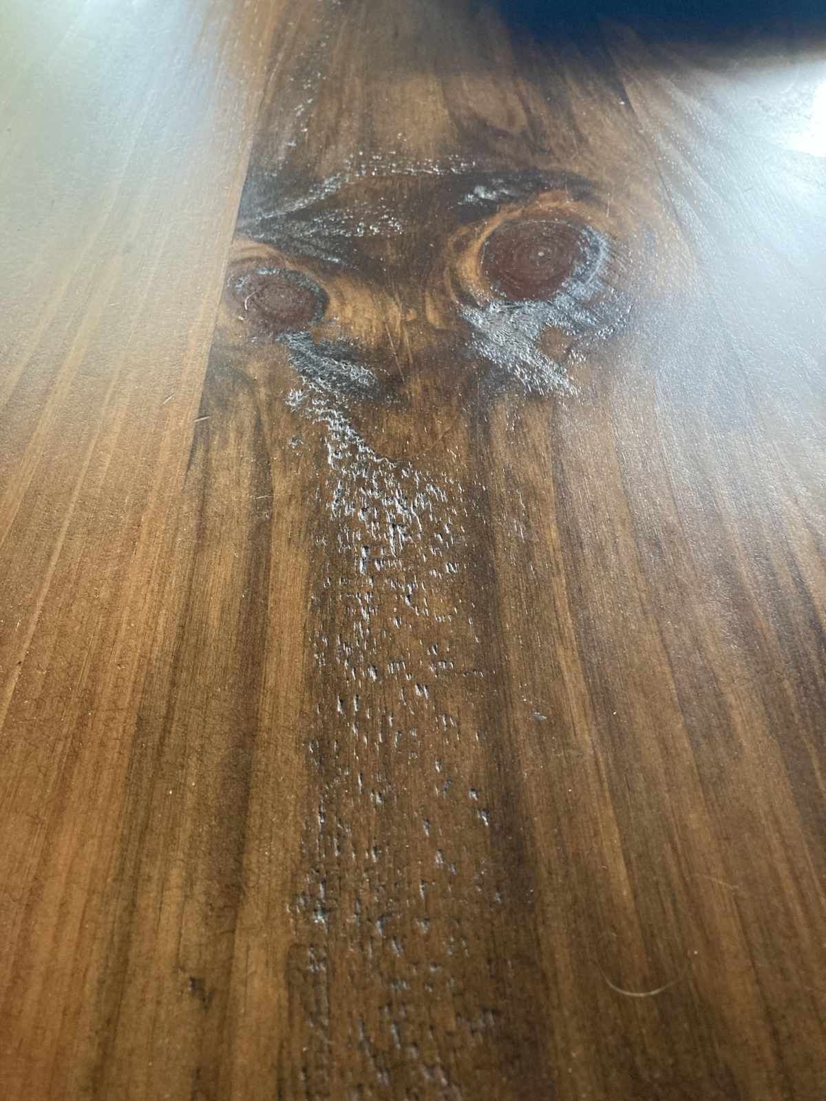 Table Ostrich