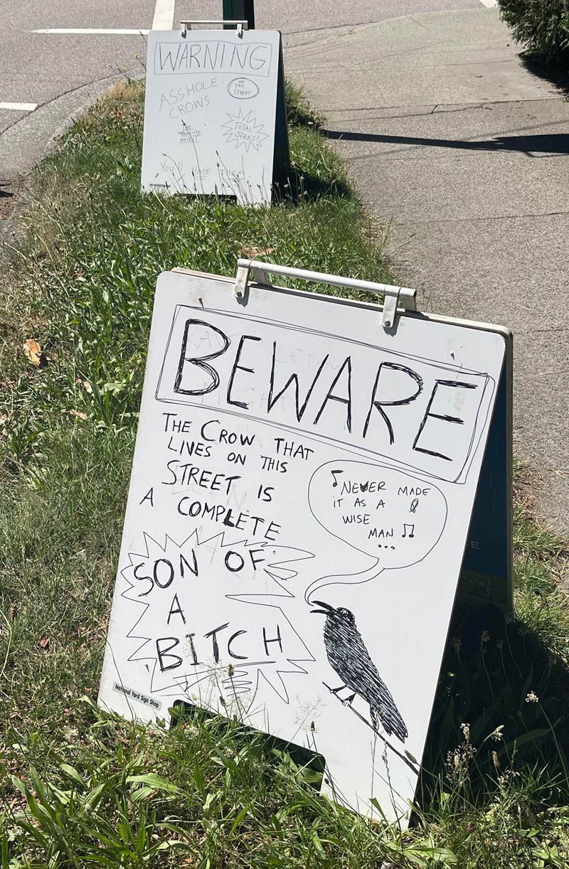These warning signs about the aggressive crow in the area