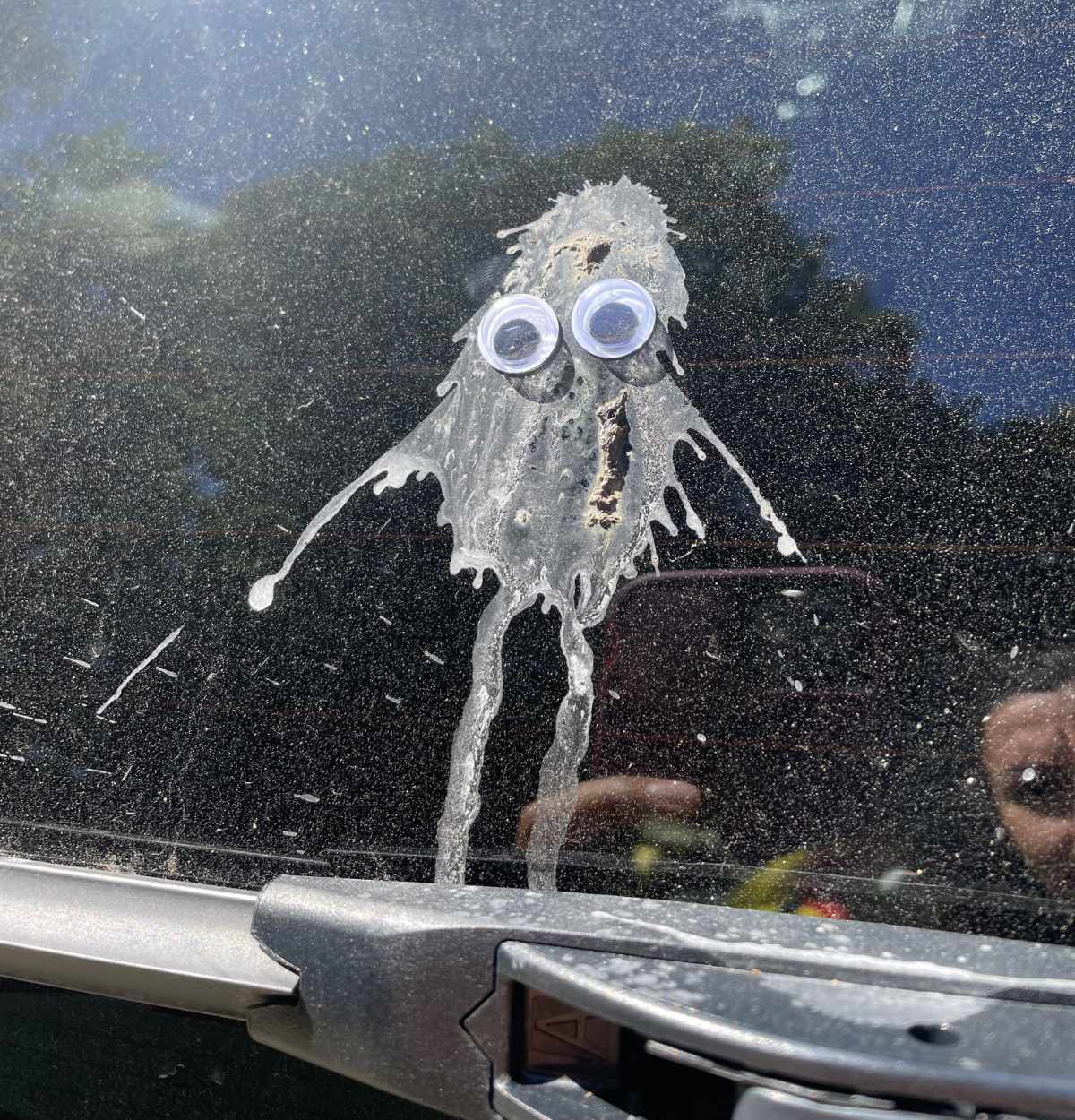A bird pooped on my car in the shape of a monster so I put googly eyes on it