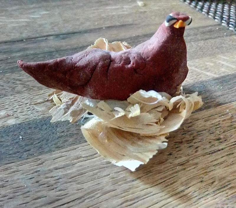 This chicken I made for a project in the 3rd grade