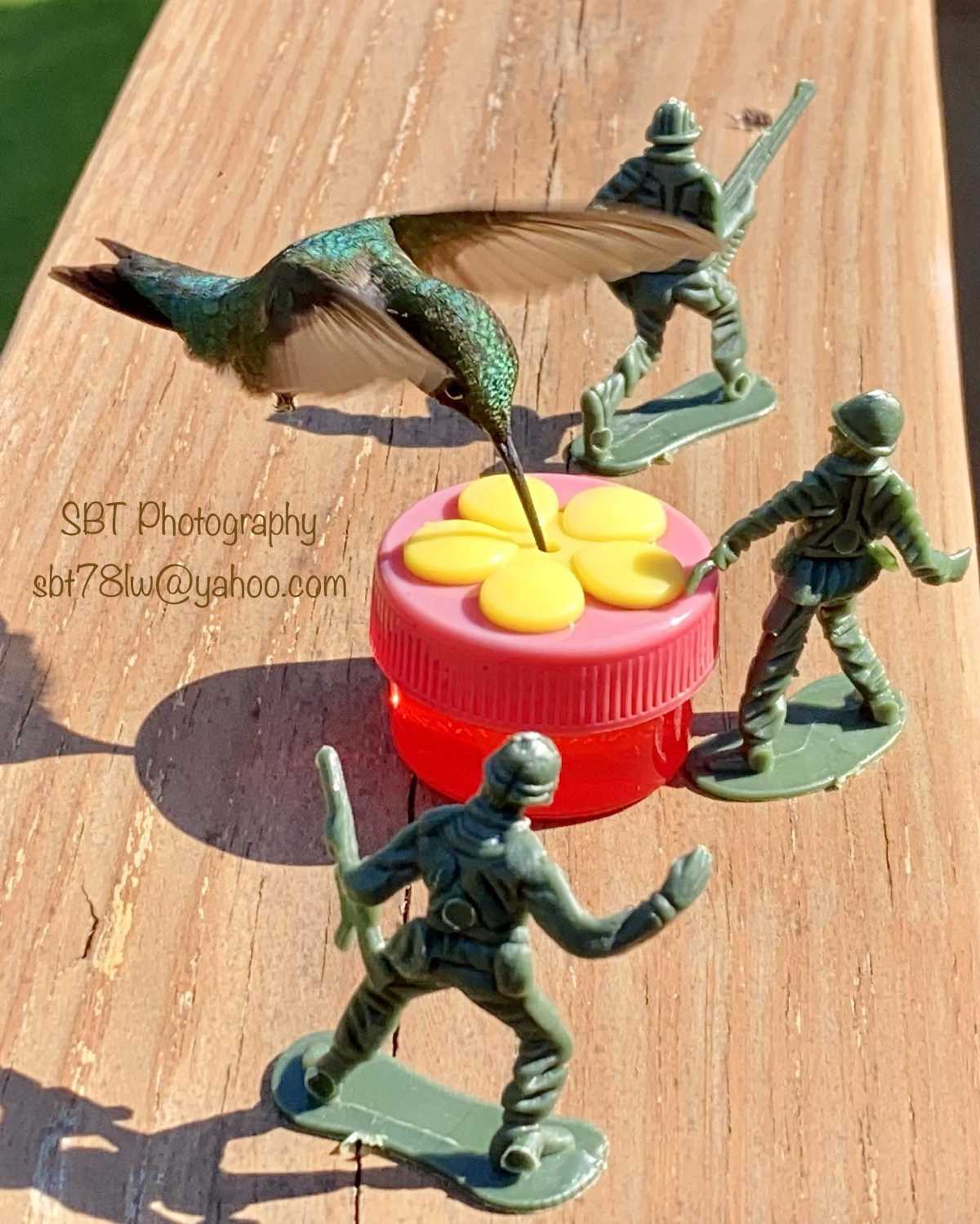 I put army men and other silly props next to my hummingbird feeder. Here’s one of many results