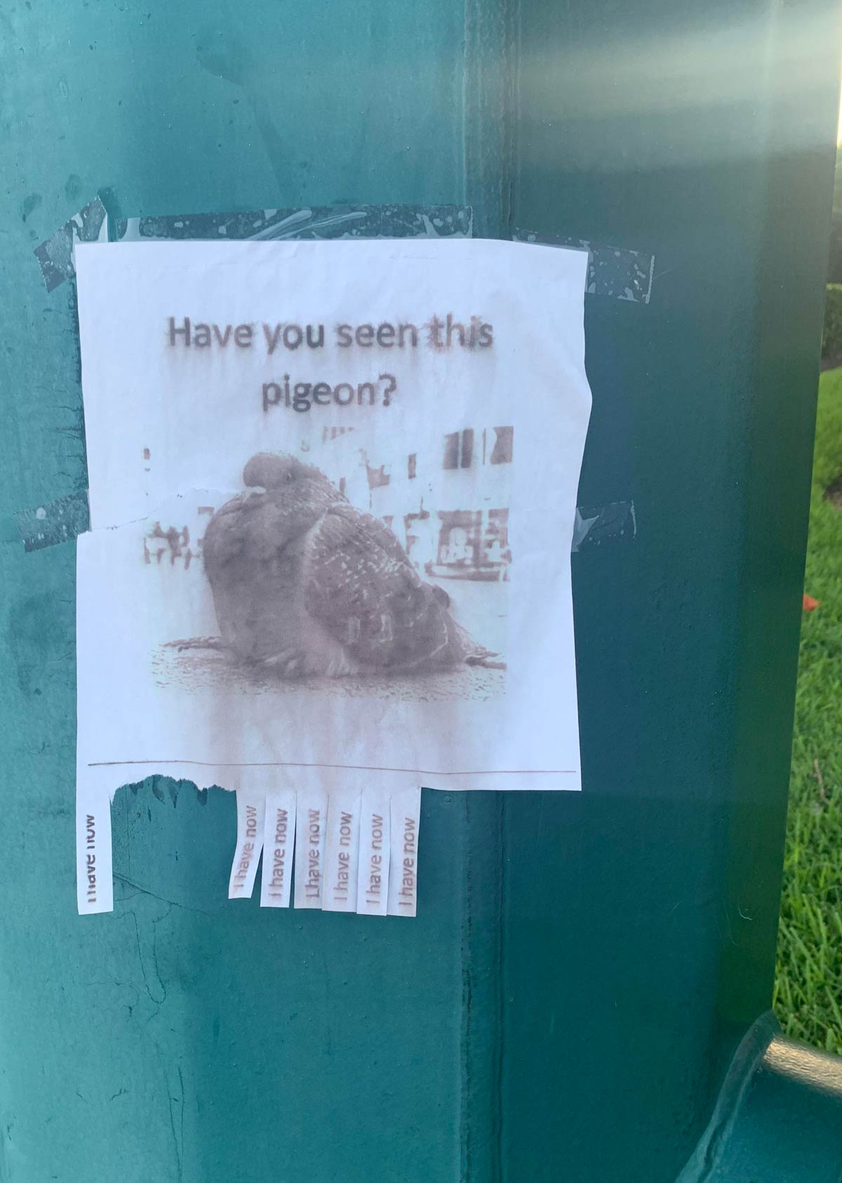 Sign I saw on a lamp post