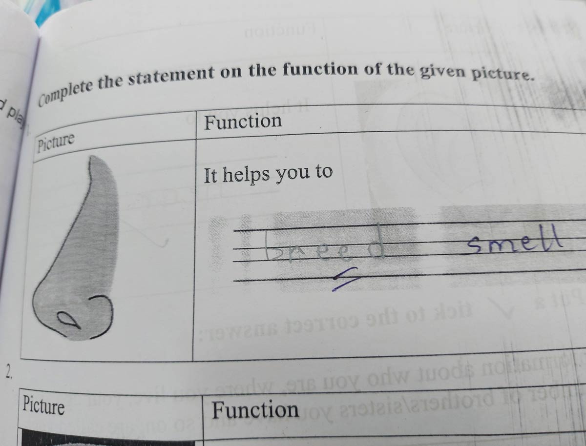 Nose helps you... From my 5-year-old's exam sheet