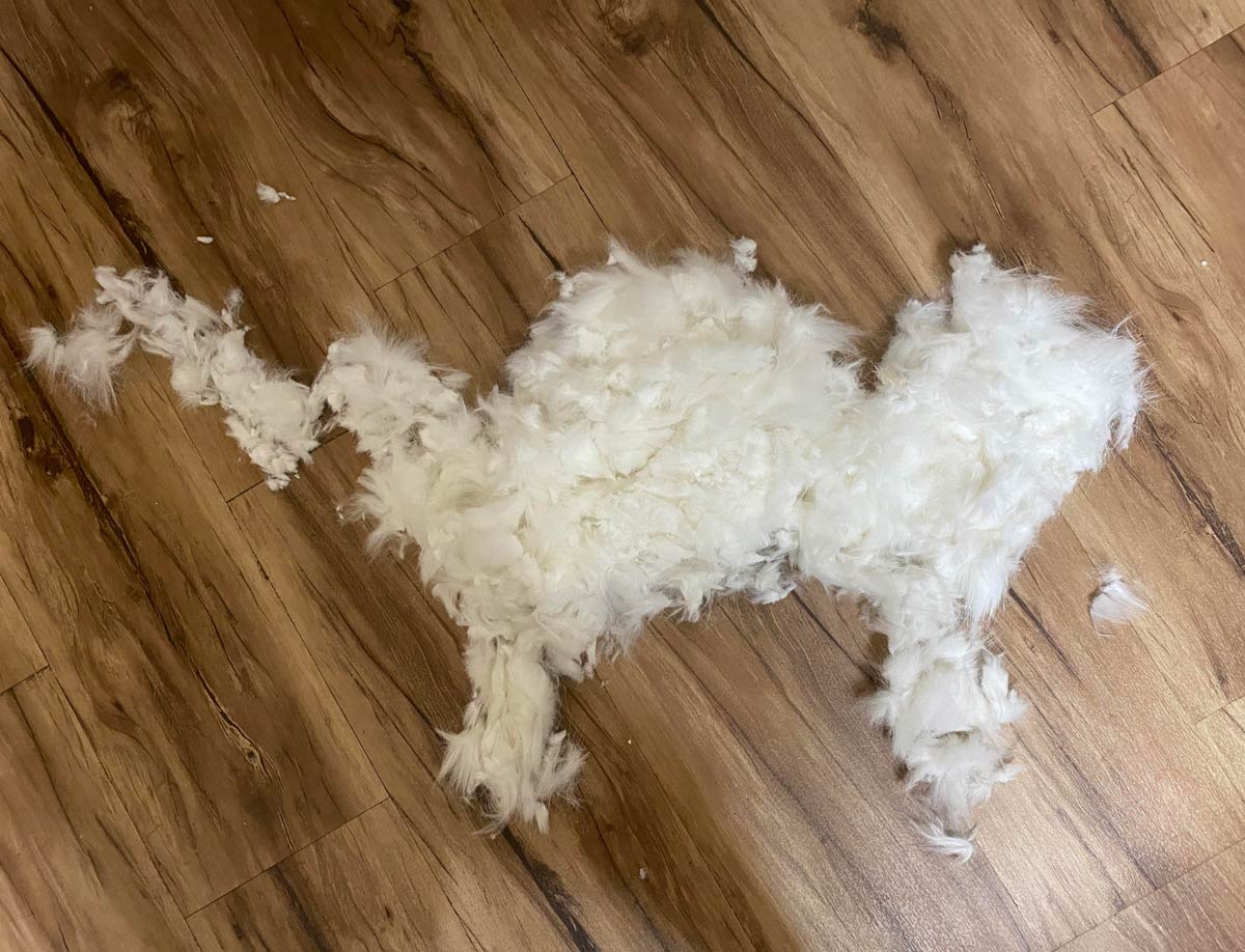 Shaved my cat last night and had enough leftovers to make a second cat