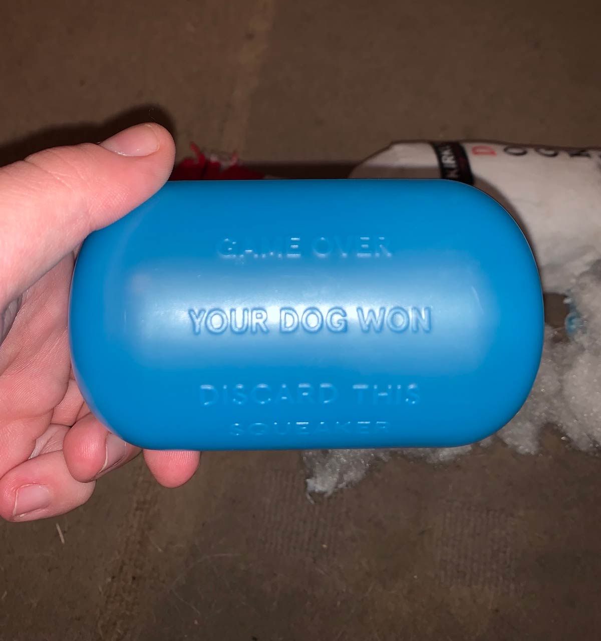 Squeaker inside a dog toy
