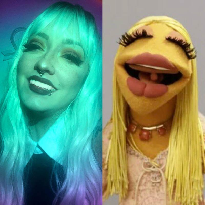 Someone sent me this muppet pic to insult me and it just cracked me up instead